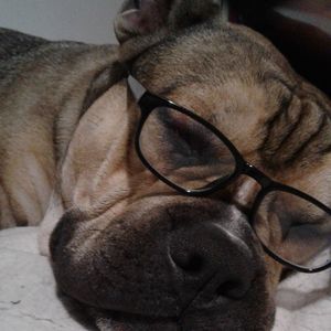 Meet your Posher, Cassidy